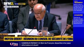 "Il n'y a plus de temps à perdre", alerte le représentant de la Palestine à l'ONU