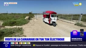Passions Provence du samedi 8 juillet 2023 - Visite de la Camargue en Tuk Tuk électrique