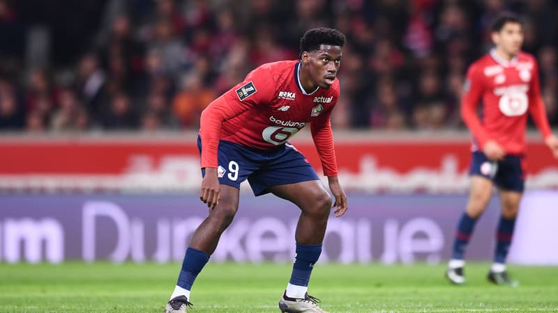 Jonathan David - Lille
