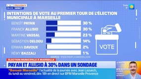 Élection municipale à Marseille. Payan et Allisio à 30% dans un sondage