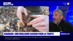 "1.000 euros de moyenne" pour une truffe varoise cette année, moins chère que l'an dernier 