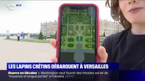 Les Lapins Crétins envahissent (virtuellement) les jardins du château de Versailles