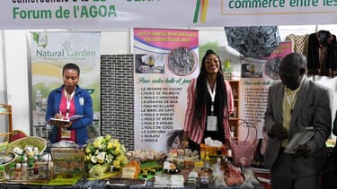 La loi sur la croissance et les opportunités en Afrique ( Agoa) a été lancée en 2000 pour aider à l'industrialisation de l'Afrique subsaharienne.