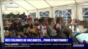Des colonies de vacances apprenantes organisées tout l'été en France