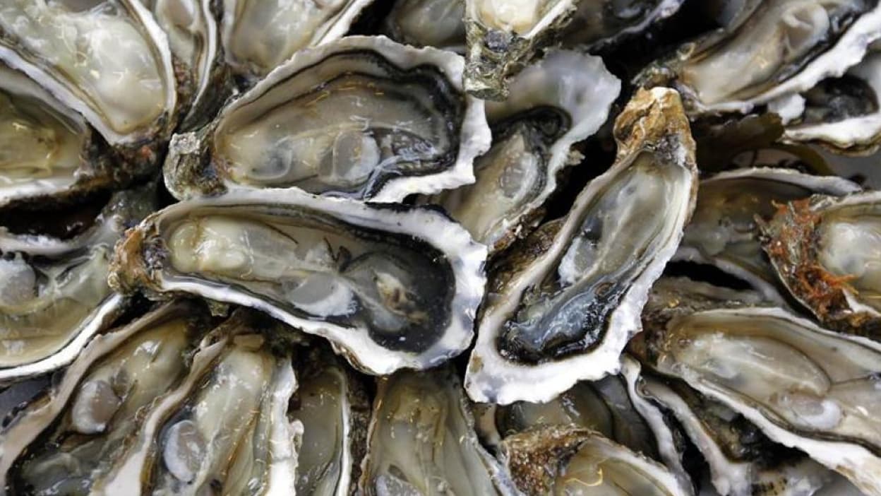 Des résidus de pollution retrouvés dans des huîtres fraîches