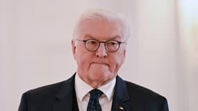 Le président allemand, Frank-Walter Steinmeier, à Berlin le 7 novembre 2024