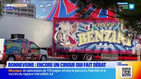  Bonneveine : le cirque Benzini fait débat
