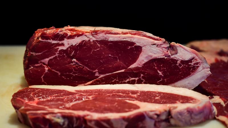 INFOGRAPHIES. Avant même l'accord UE-Mercosur, les importations de viande de boeuf sud-américaine ont bondi de près de 80% cet été