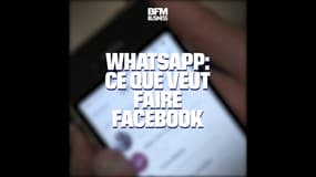 WhatsApp: ce que veut faire Facebook