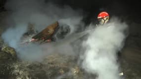 Incendies en Haute-Corse: 2.000 hectares brûlent en une nuit 