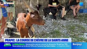 La traditionnelle course de chèvres de la Sainte-Anne de retour à Prapic