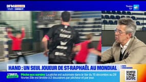 Saint-Raphaël Var Handball: "Notre projet c'est l'accession à l'Europe"