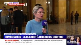 Projet de loi immigration: "C'est un moment de bascule politique important. Pour la première fois, il n'y a plus de barrage républicain", affirme Sandrine Rousseau (EELV)