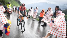 Dylan Teuns - Tour de France