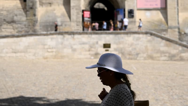 Une femme fait une pause à l'ombre d'un arbre à Avignon, dans le sud de la France, le 17 juillet 2023.