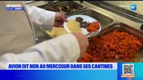 À Avion, le maire veut faire voter une motion pour interdire les viandes d'Amérique du Sud