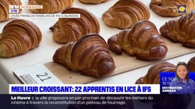 Meilleur croissant au beurre d'Isigny: 22 apprentis en lice à Ifs