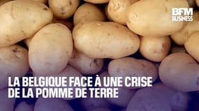  La Belgique face à une crise de la pomme de terre  
