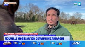 Camargue: manifestation contre le traité de libre-échange avec le Mercosur ce mercredi