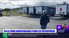 La fibre, un outil indispensable pour les entreprises