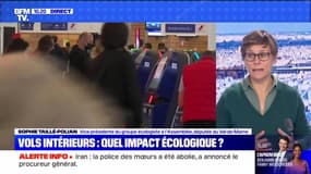 Vols intérieurs: quel impact écologique ? - 04/12