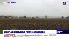 Sécheresse dans le Rhône: les fortes pluies soulagent les agriculteurs