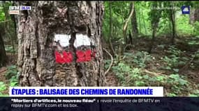 Côte d'Opale: le balisage des chemins de randonnée vérifié et rénové avant l'arrivée des promeneurs ce été
