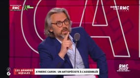 "Ils sont en train de promouvoir le parti unique": le coup de gueule de Caron contre les macronistes