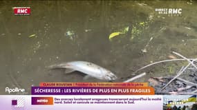 Sécheresse : les fleuves et les rivières de plus en plus fragiles 