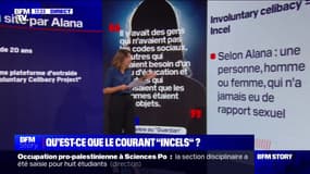 LES ÉCLAIREURS - Quelle est l'origine du mouvement "Incels"? 