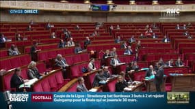 Loi "anti-casseurs": des députés LREM manifestent leurs désaccords 