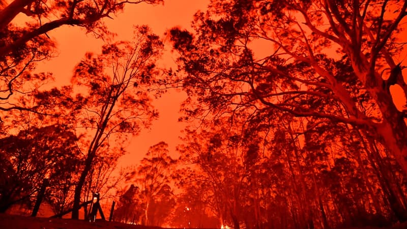 Le ciel australien coloré par les importants incendies près de la ville de Nowra, le 31 décembre 2019, en Australie