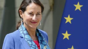 Ségolène Royal le 16 juillet 2014 à la sortie d'un conseil des ministres.