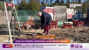 Dans les Pyrénées-Orientales, la sécheresse inquiète