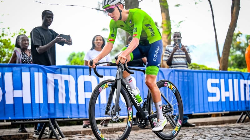 "Un modÃ¨le d'exception", les enchÃ¨res s'envolent Ã  prÃ¨s de 90.000 euros pour s'offrir...