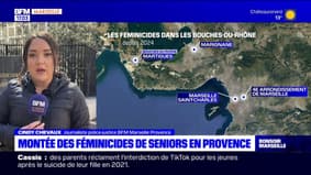 Bouches-du-Rhône: l'inquiétante montée des féminicides de seniors en Provence en 2024