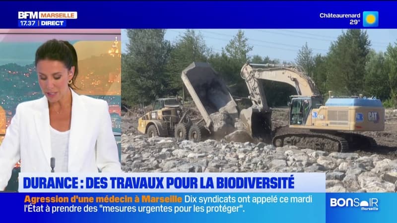 Vallée de la Durance: des travaux pour préserver la biodiversité 