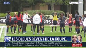 Coupe du monde féminine: quels sont les objectifs de l'équipe de France ?