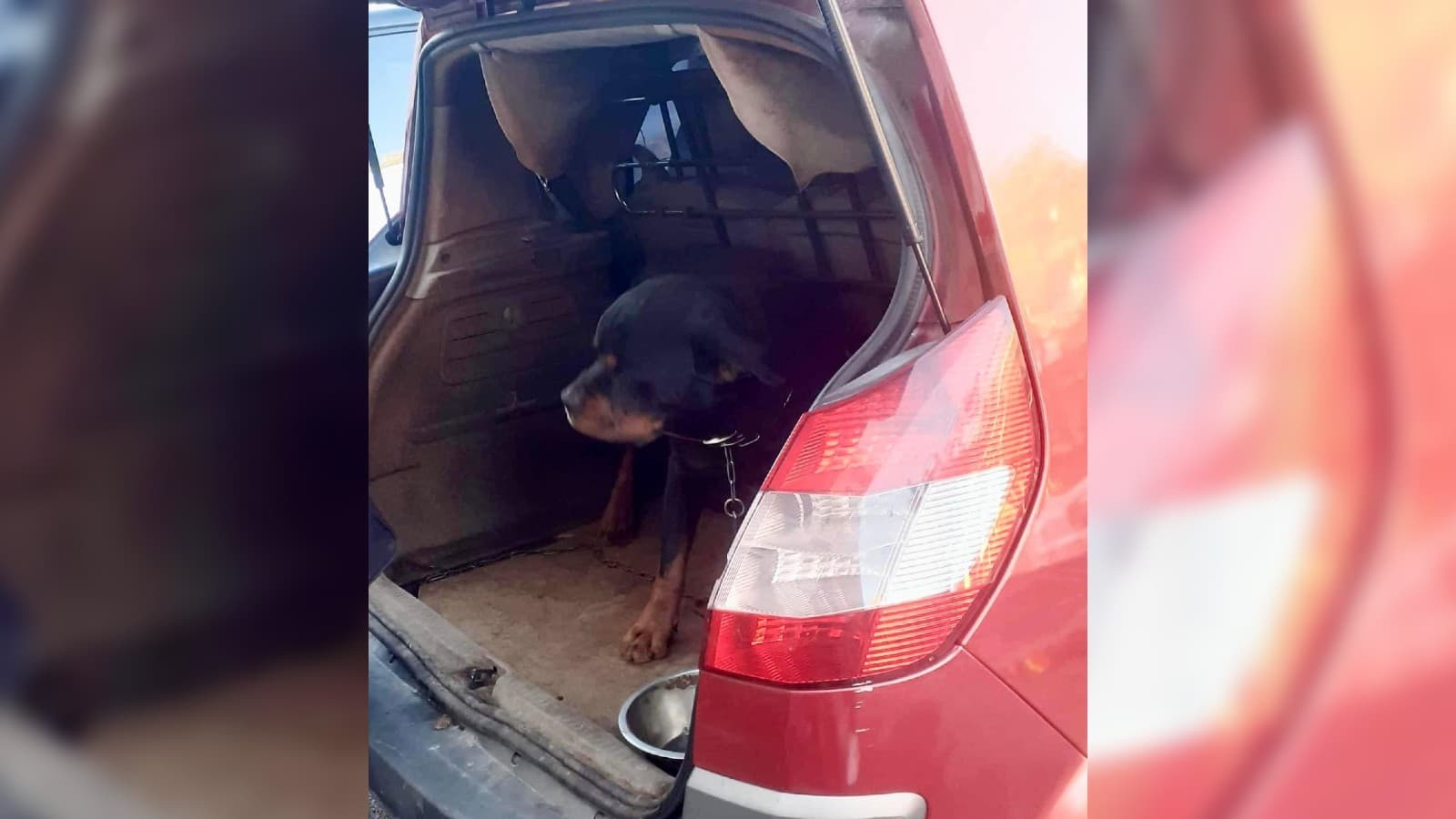 Les pennes-mirabeau: un chien sauvé après être resté plusieurs jours dans le coffre d'une voiture