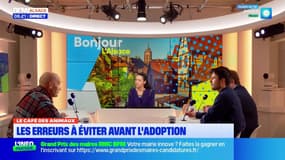 Bonjour Alsace du mercredi 1er octobre 2025