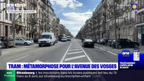 Strasbourg: l'avenue des Vosges bientôt métamorphosée avec l'arrivée du tram nord