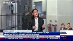 Sonia Cabanis (Deloitte) : Entreprises, comment faire face aux risques liés aux tiers ? - 06/10