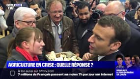 Salon de l'agriculture: Emmanuel Macron en campagne - 21/02