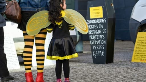 Une fillette en costume d'abeille près de la Chambre d'agriculture de Rennes, le 4 mai 2018