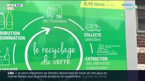 Lens-Liévin: un dispositif pour gagner de l'argent en recyclant son verre