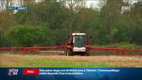 La France peut-elle se passer du glyphosate? C'est l'objet d'un rapport publié ce jeudi par l'Anses