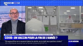 Covid : un vaccin pour la fin de l'année ? - 21/11