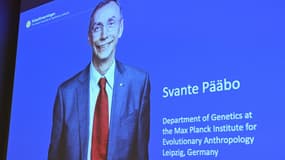 Un écran montre le lauréat du prix Nobel de physiologie ou médecine 2022, le Suédois Svante Paabo, lors d'une conférence de presse à l'Institut Karolinska à Stockholm, en Suède, le 3 octobre 2022.