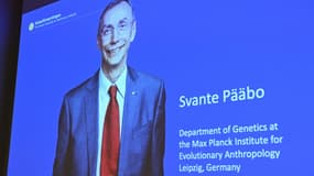 Un écran montre le lauréat du prix Nobel de physiologie ou médecine 2022, le Suédois Svante Paabo, lors d'une conférence de presse à l'Institut Karolinska à Stockholm, en Suède, le 3 octobre 2022.