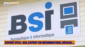 Expert d'ici : BSI, expert en informatique, réseau,...